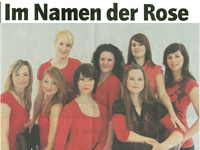 4. Wirtschaftsball 2010