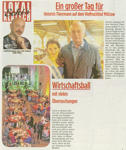 Presse zum 11. Wirtschaftsball 2017